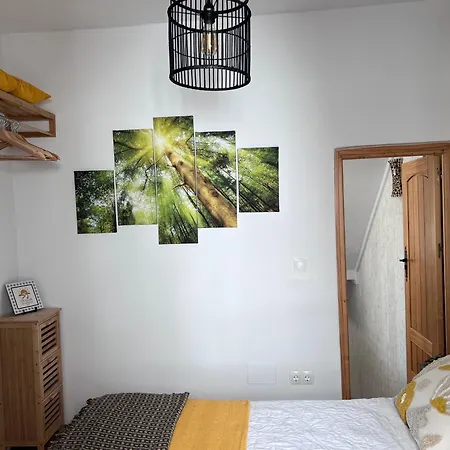 Oda ve Kahvaltı Senda De Alegria