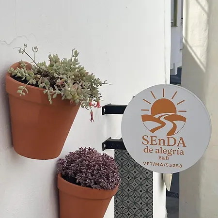 Senda De Alegria Oda ve Kahvaltı